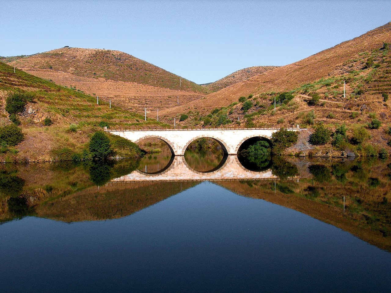 portugal douro holiday free photo