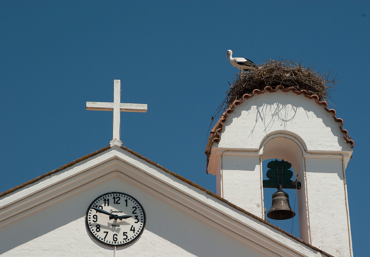 portugal church nest free photo
