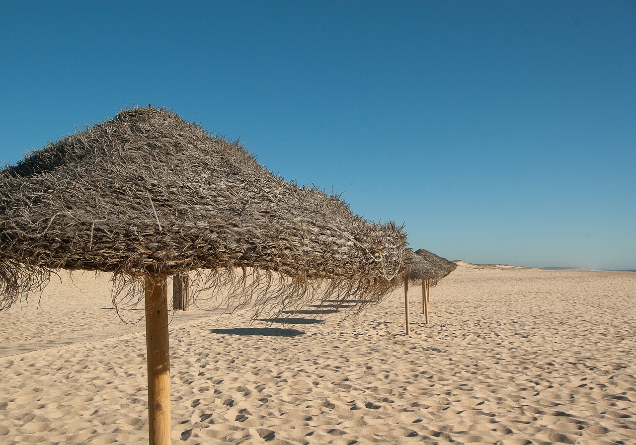 portugal beach parasol free photo