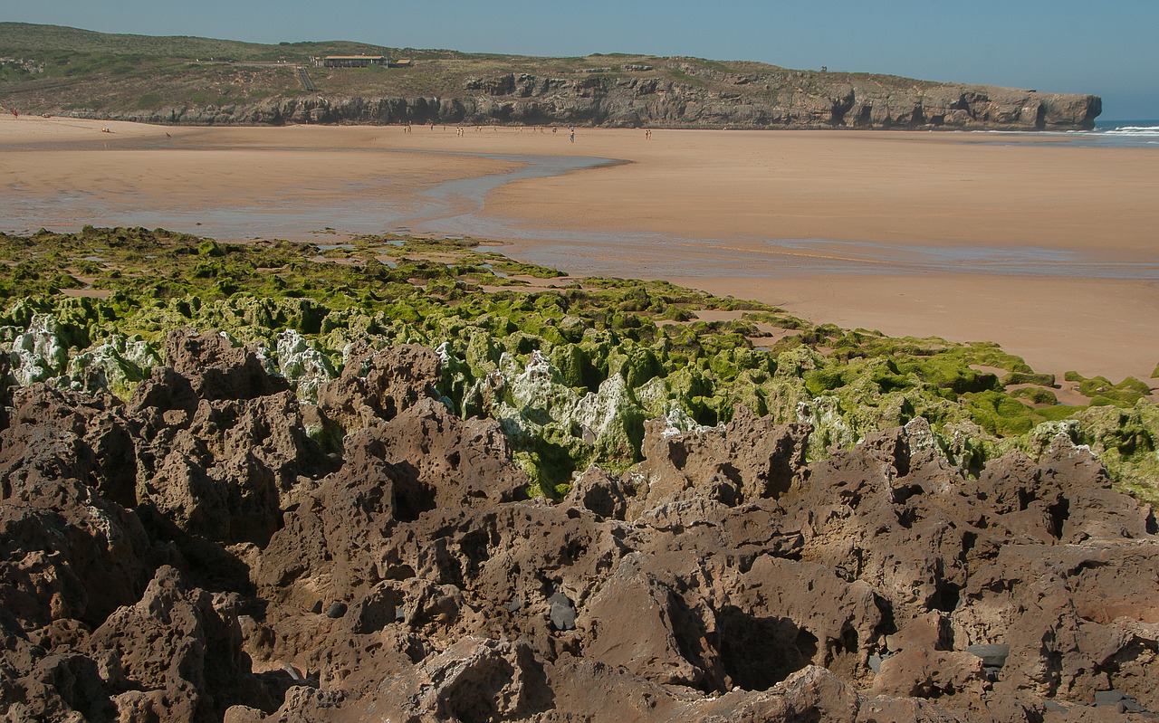 portugal ocean beach free photo