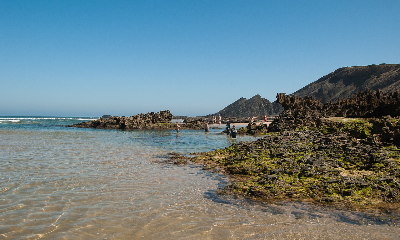 portugal beach tide free photo