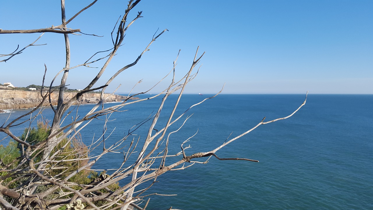 portugal cascais atlantic ocean free photo