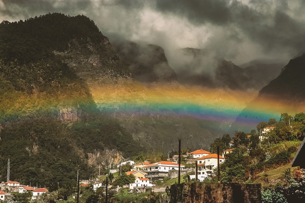 portugal madeira island free photo