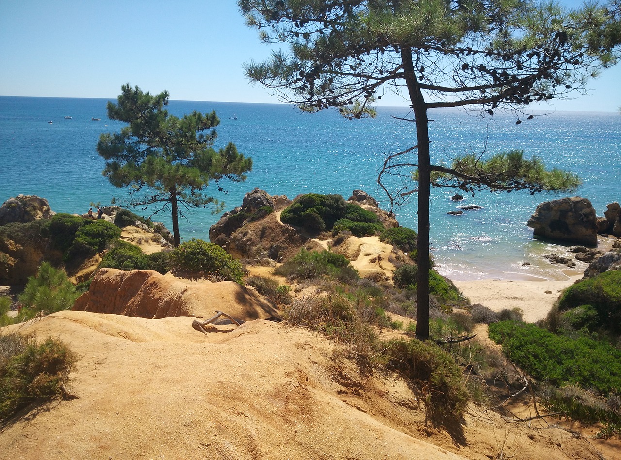 portugal algarve beach free photo