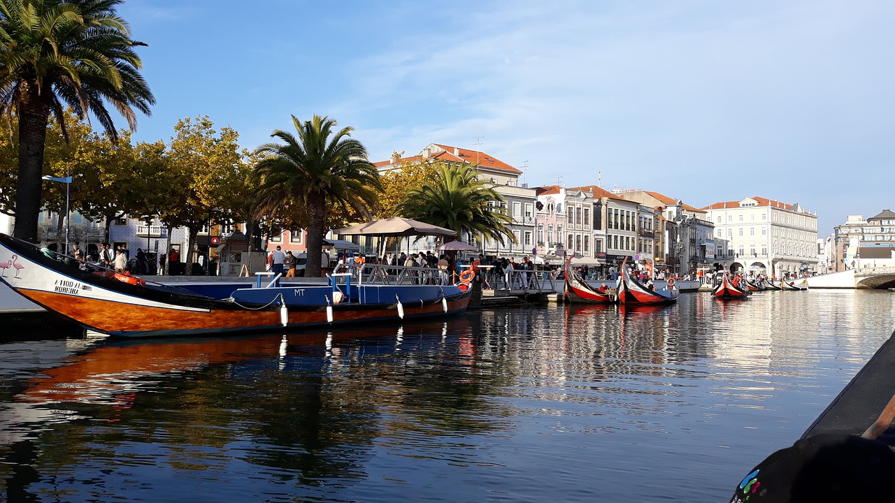 portugal aveiro ria free photo