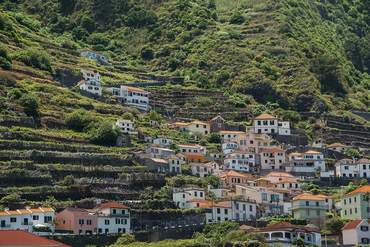 portugal  madeira  porto moniz free photo