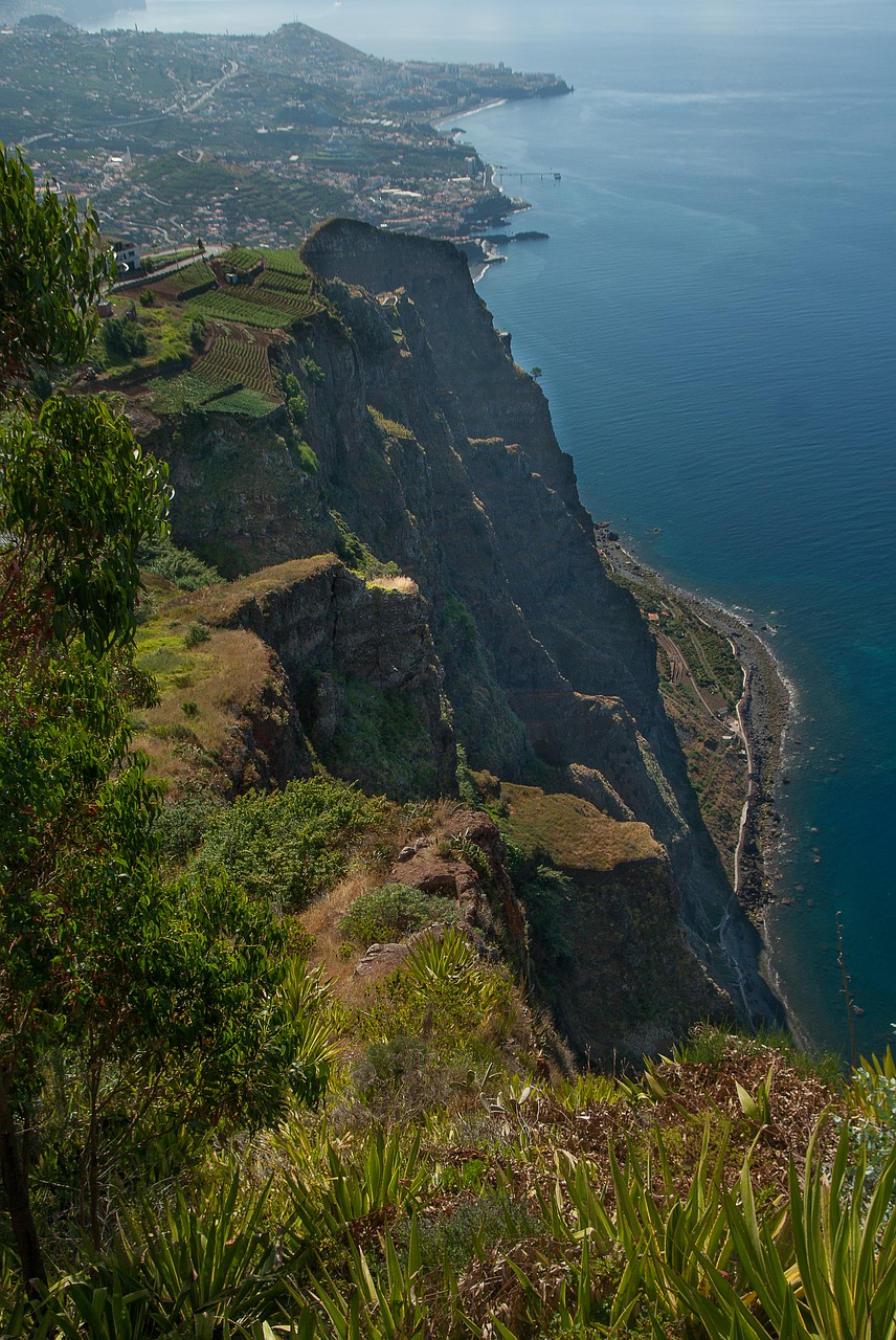 portugal  madeira  cliffs free photo