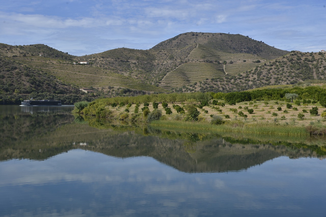 portugal  douro  panorama free photo