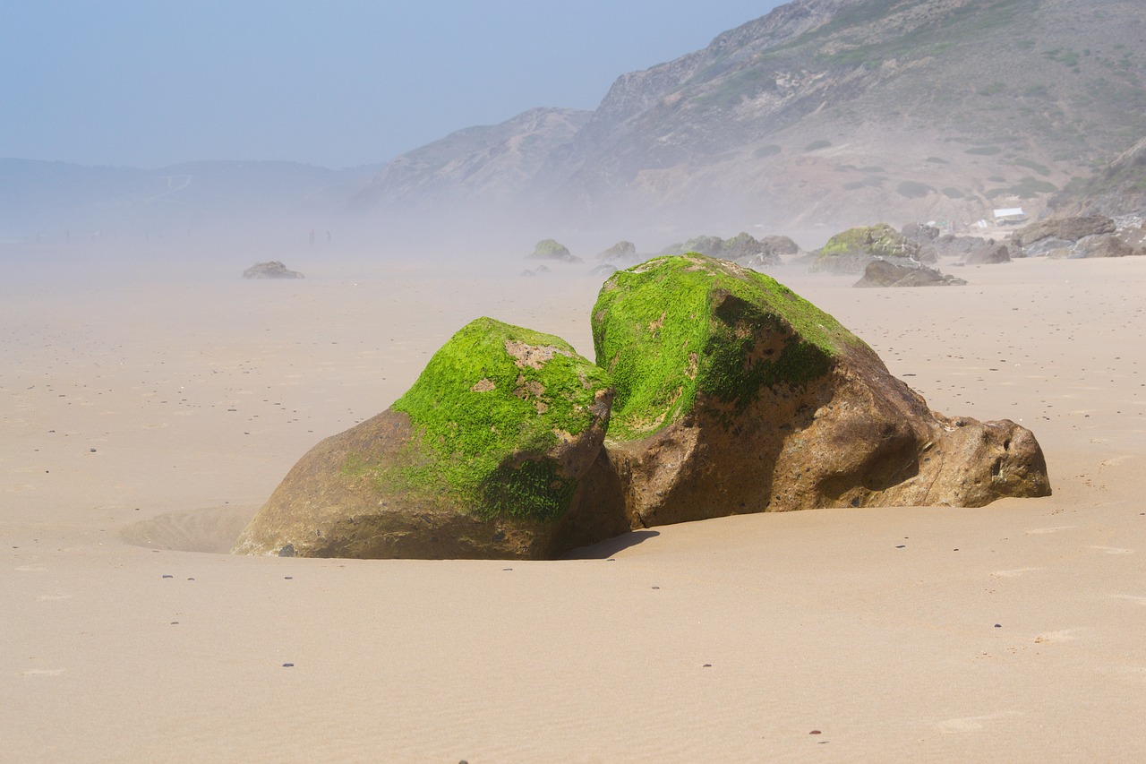 portugal  algarve  beach free photo