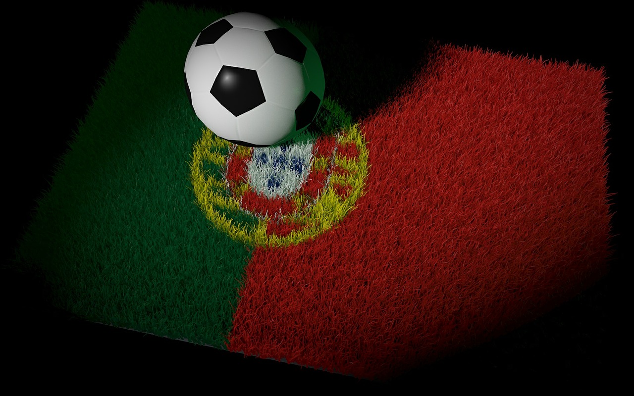 portugal football world cup free photo