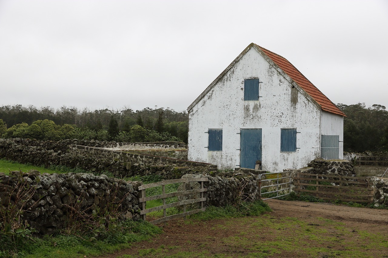 portugal  azores  terceira free photo