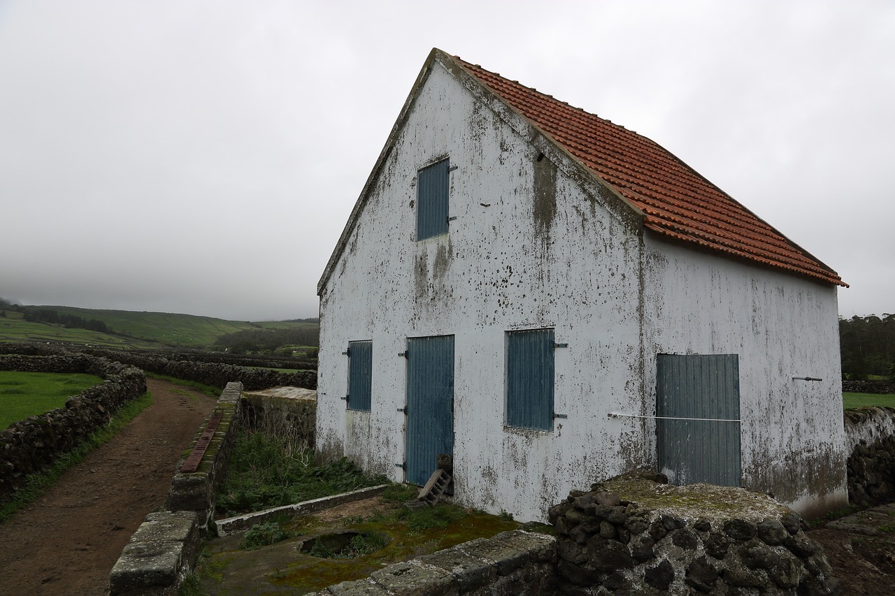 portugal  azores  terceira free photo