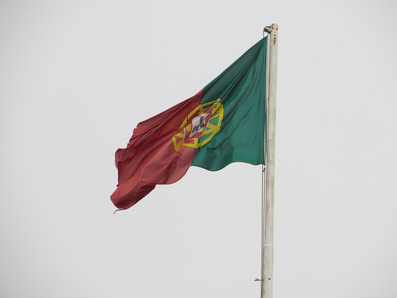 portugal flag blow free photo