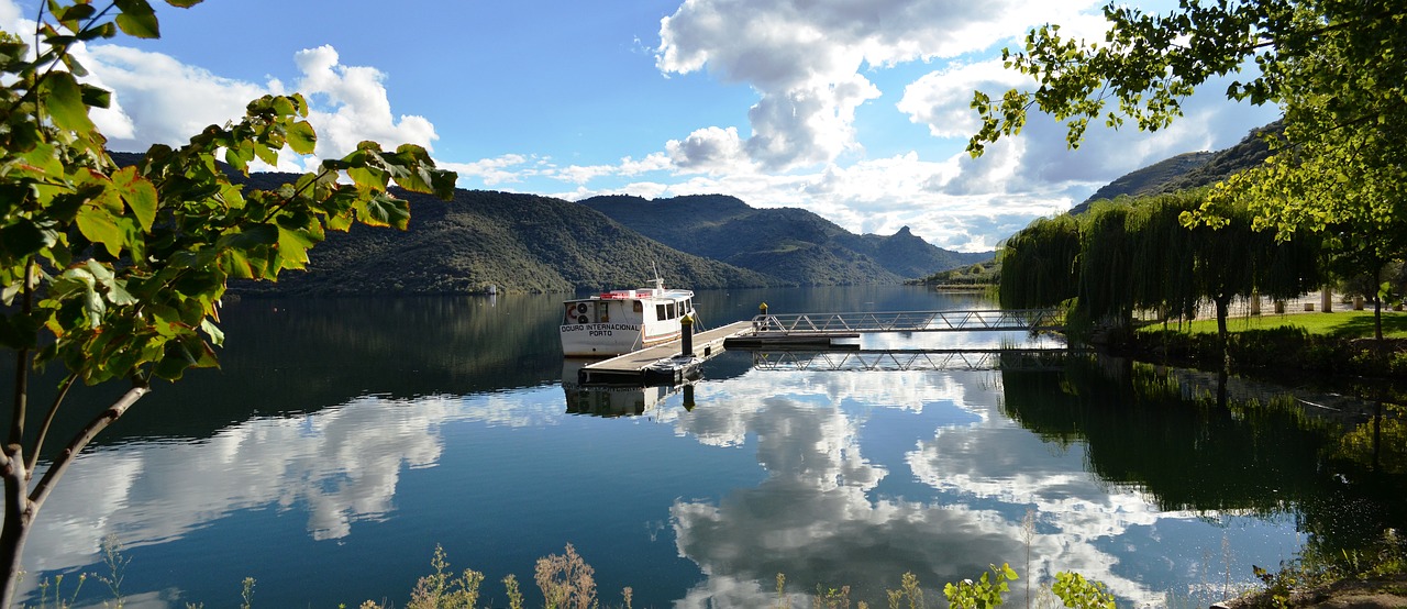 portugal  boat  river free photo