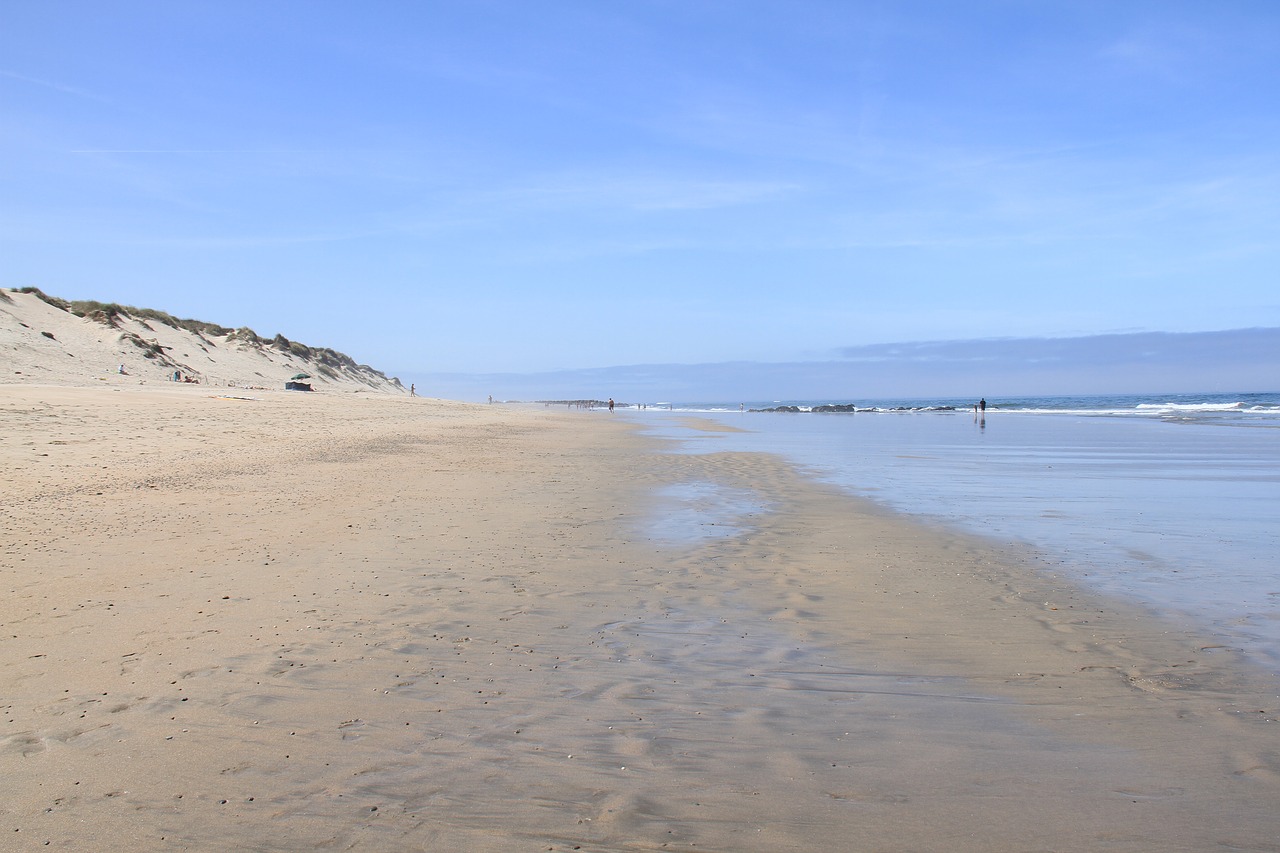 portugal  beach  ocean free photo