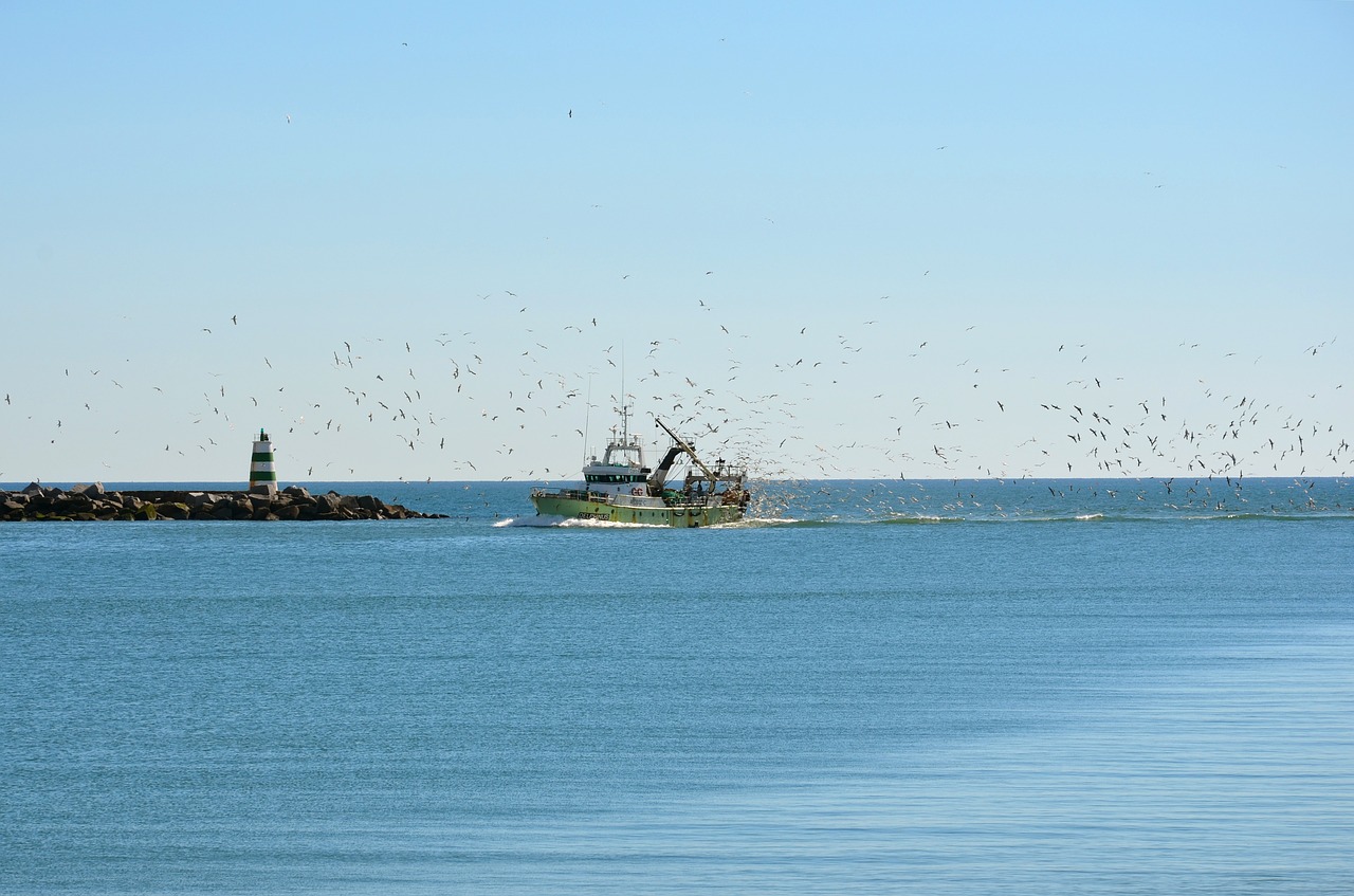 portugal sea fishing boat free photo