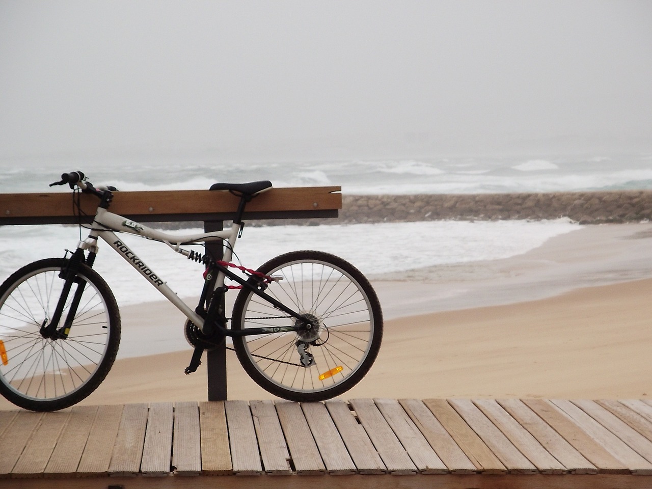 portugal beach bike free photo