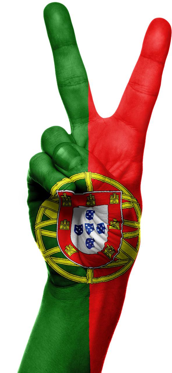 portugal flag hand free photo