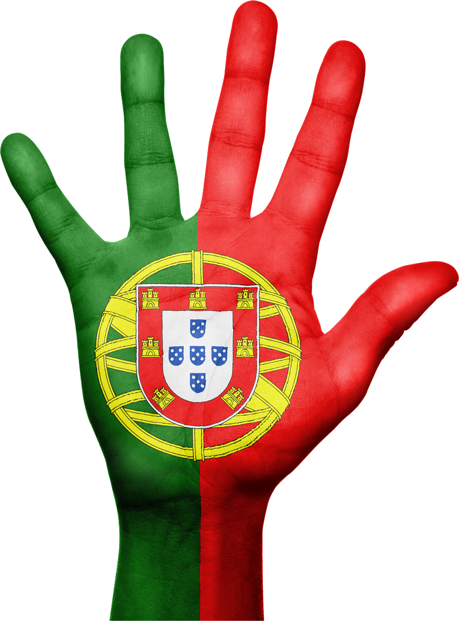 portugal flag hand free photo