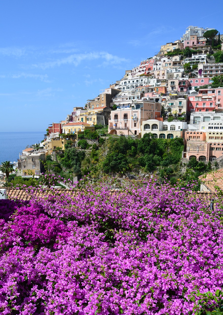 positano  bougainvillea  costiera free photo