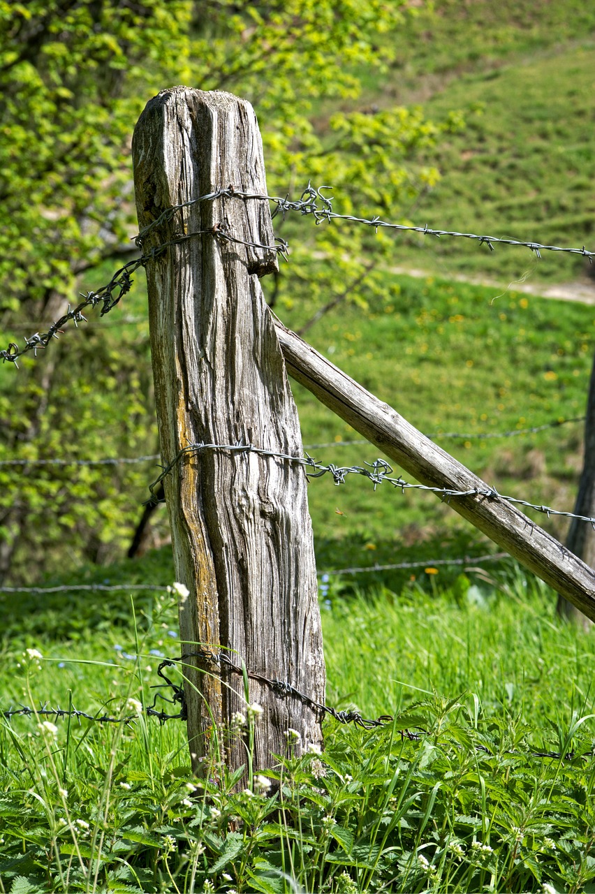 post pasture fence fence free photo