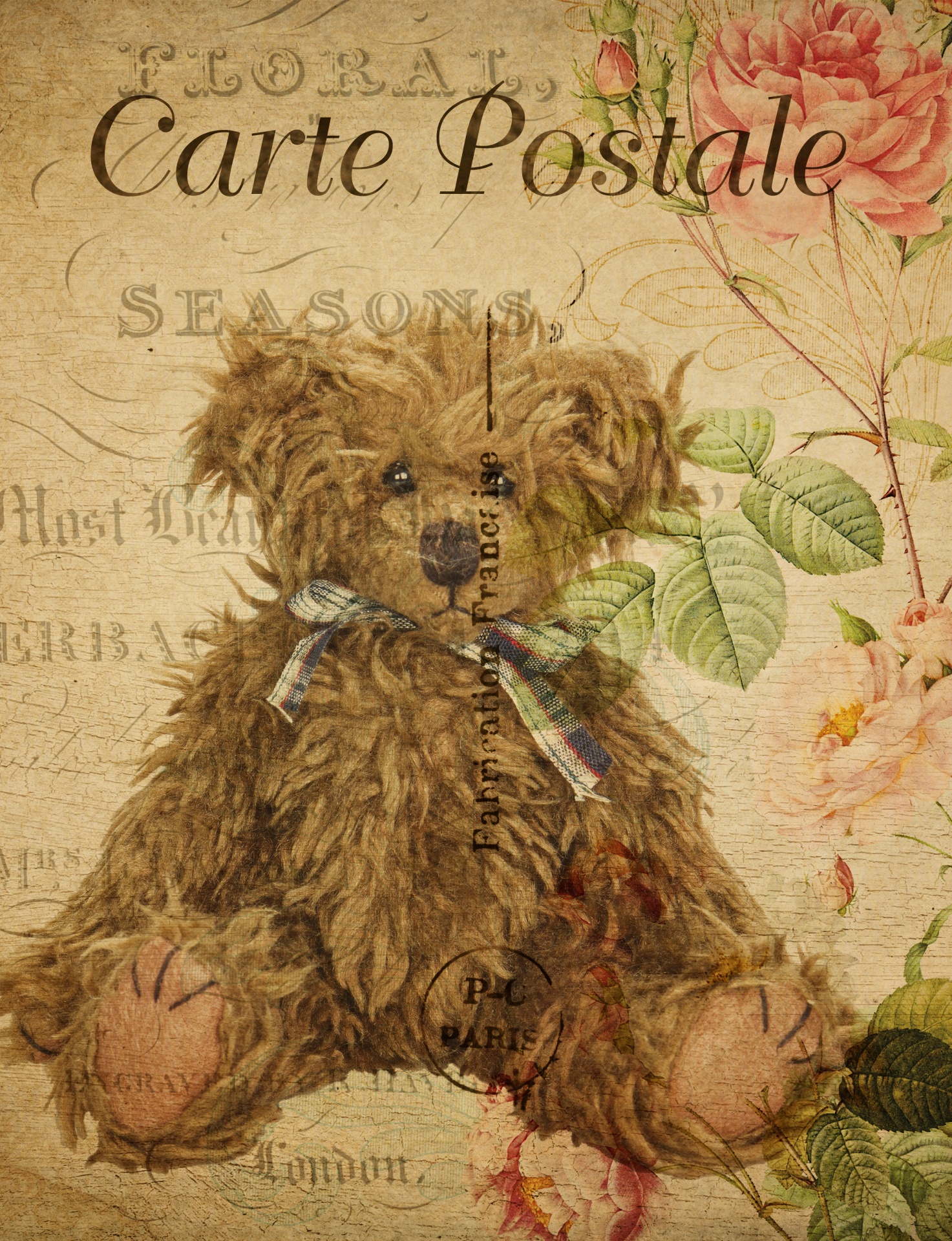 postcard vintage bear free photo