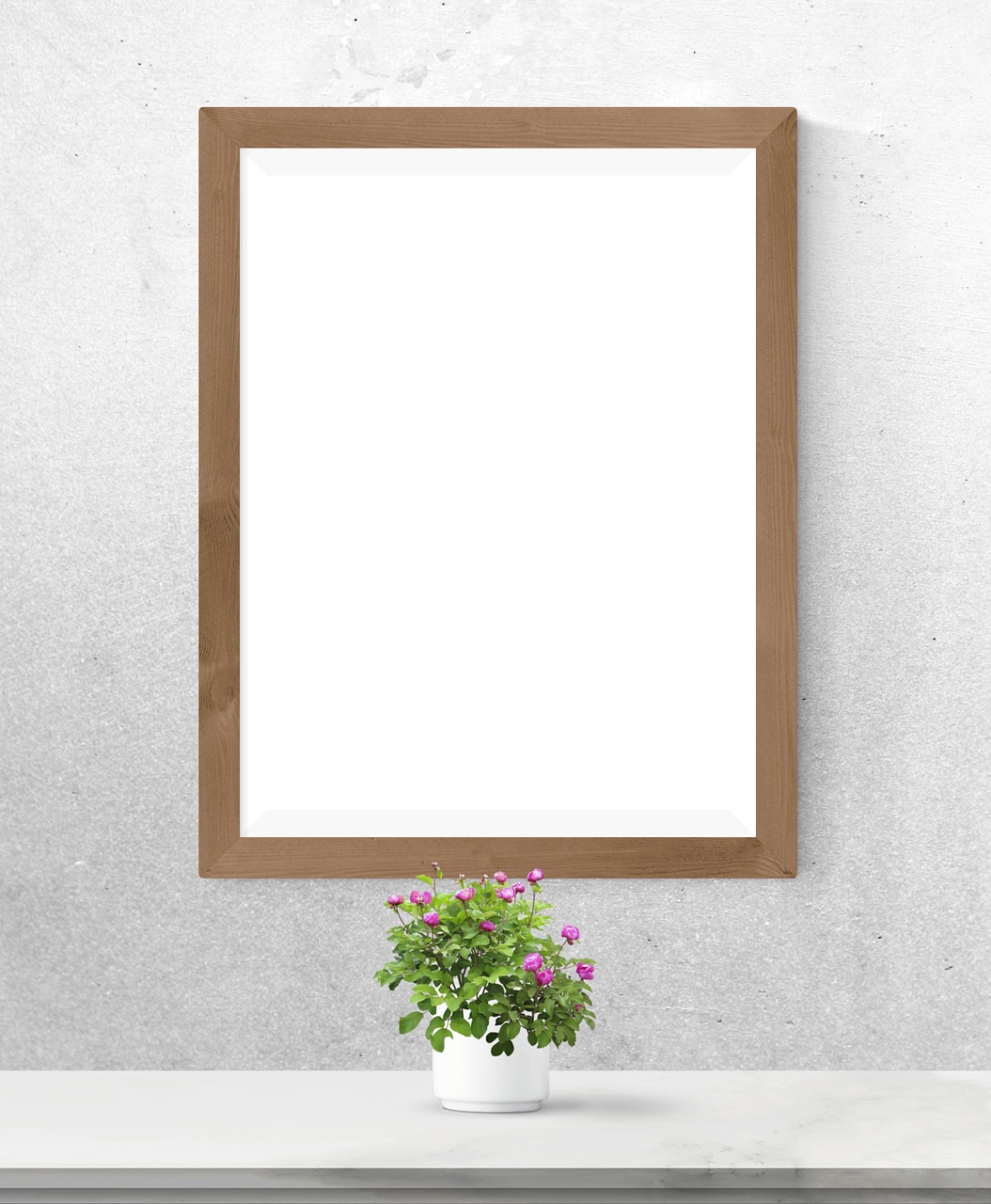 poster  frame  plant free photo