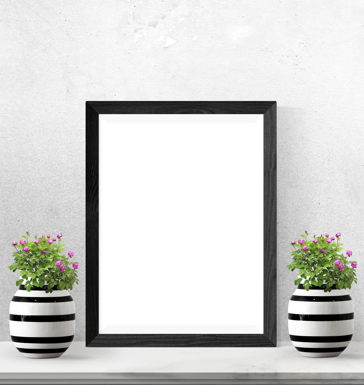 poster  frame  plants free photo