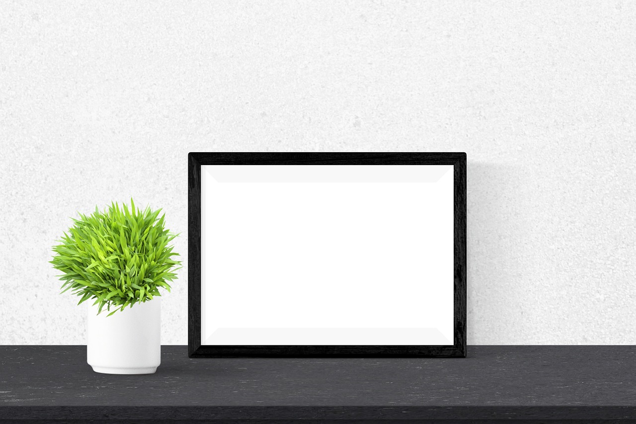 poster  frame  plant free photo