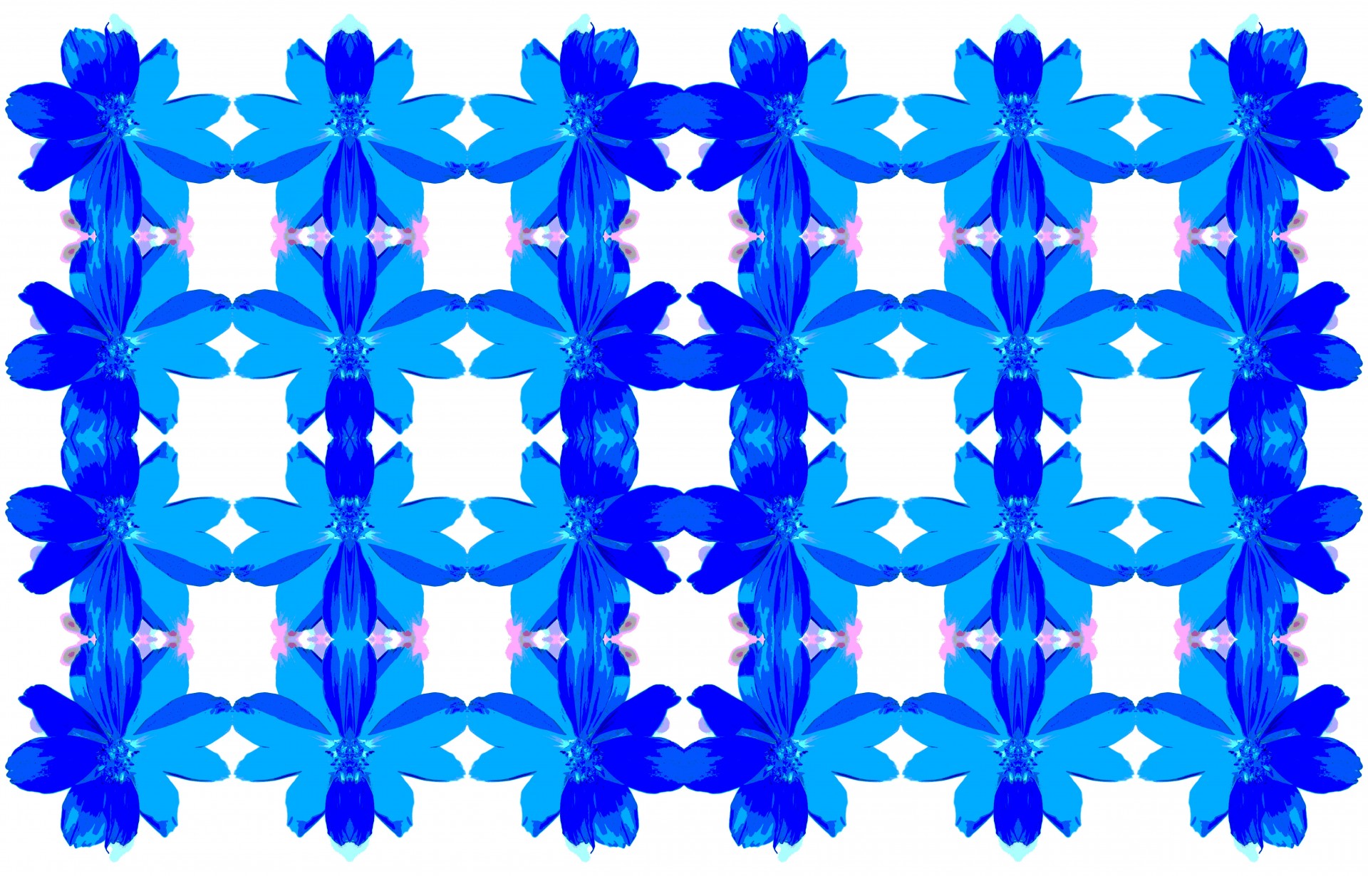 flower simple blue free photo