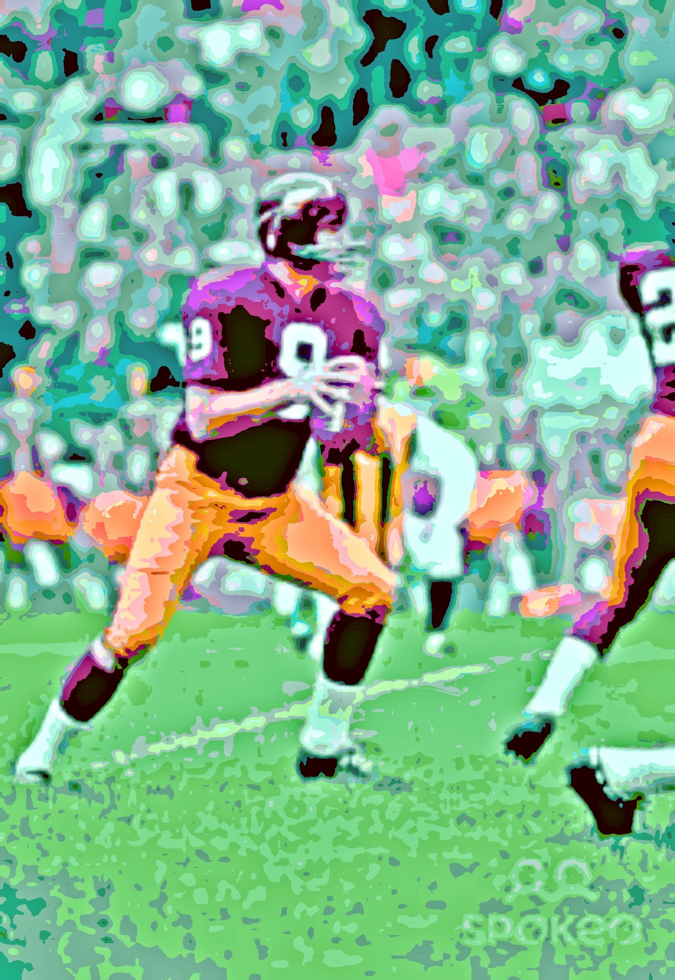 sports people sonny jurgensen nfl free photo