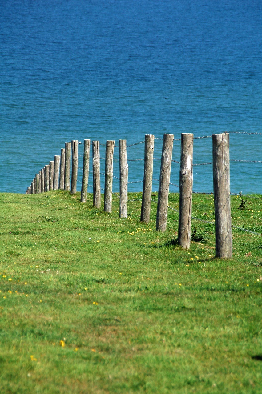 posts  grass  green free photo