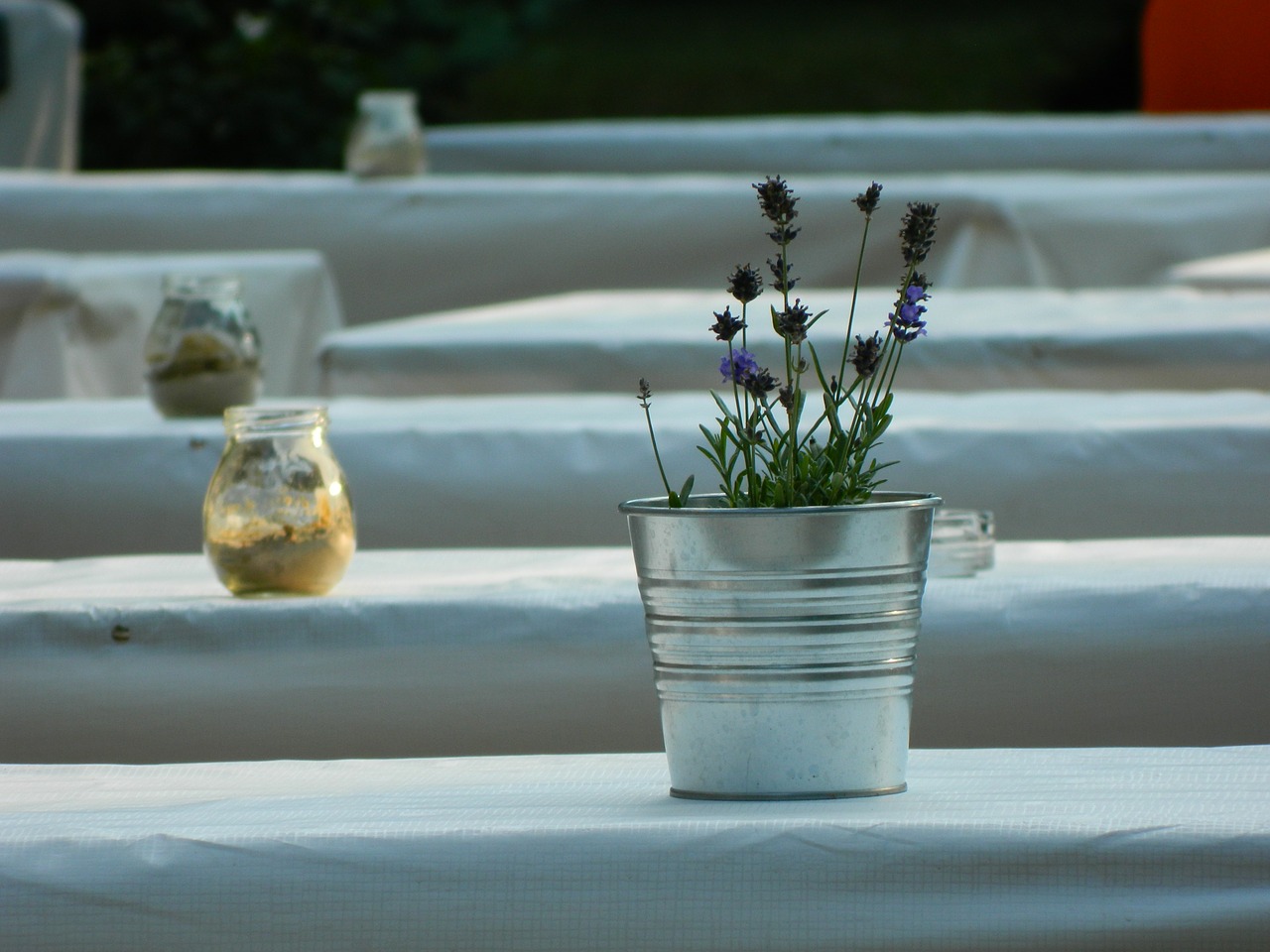 pot vase lavender free photo