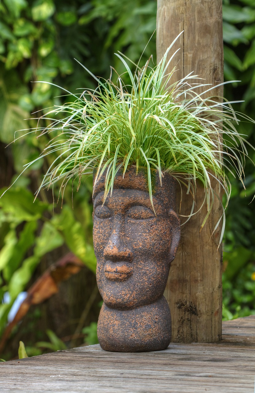 pot head polynesian plant free photo