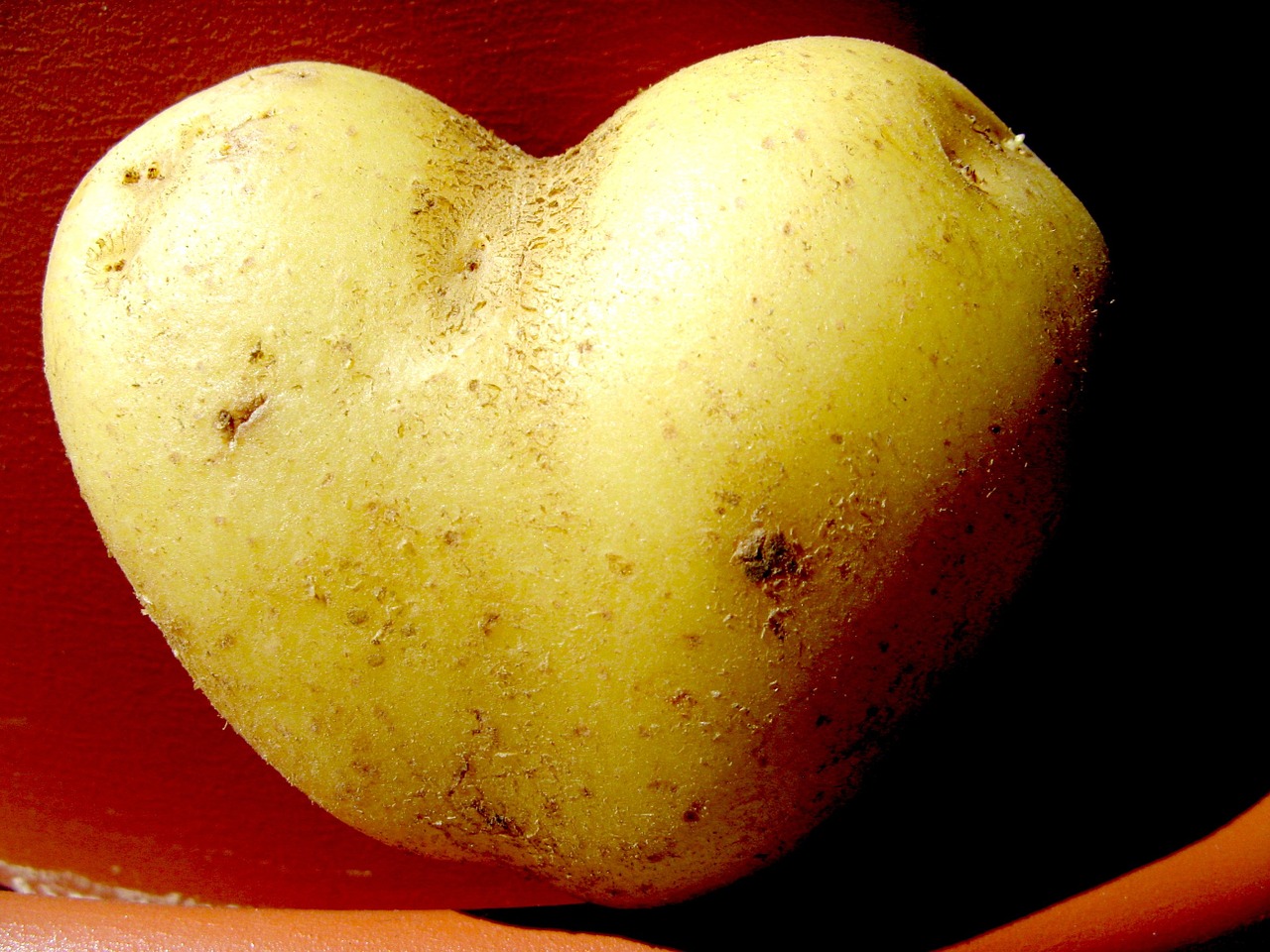 potato heart vegetables free photo