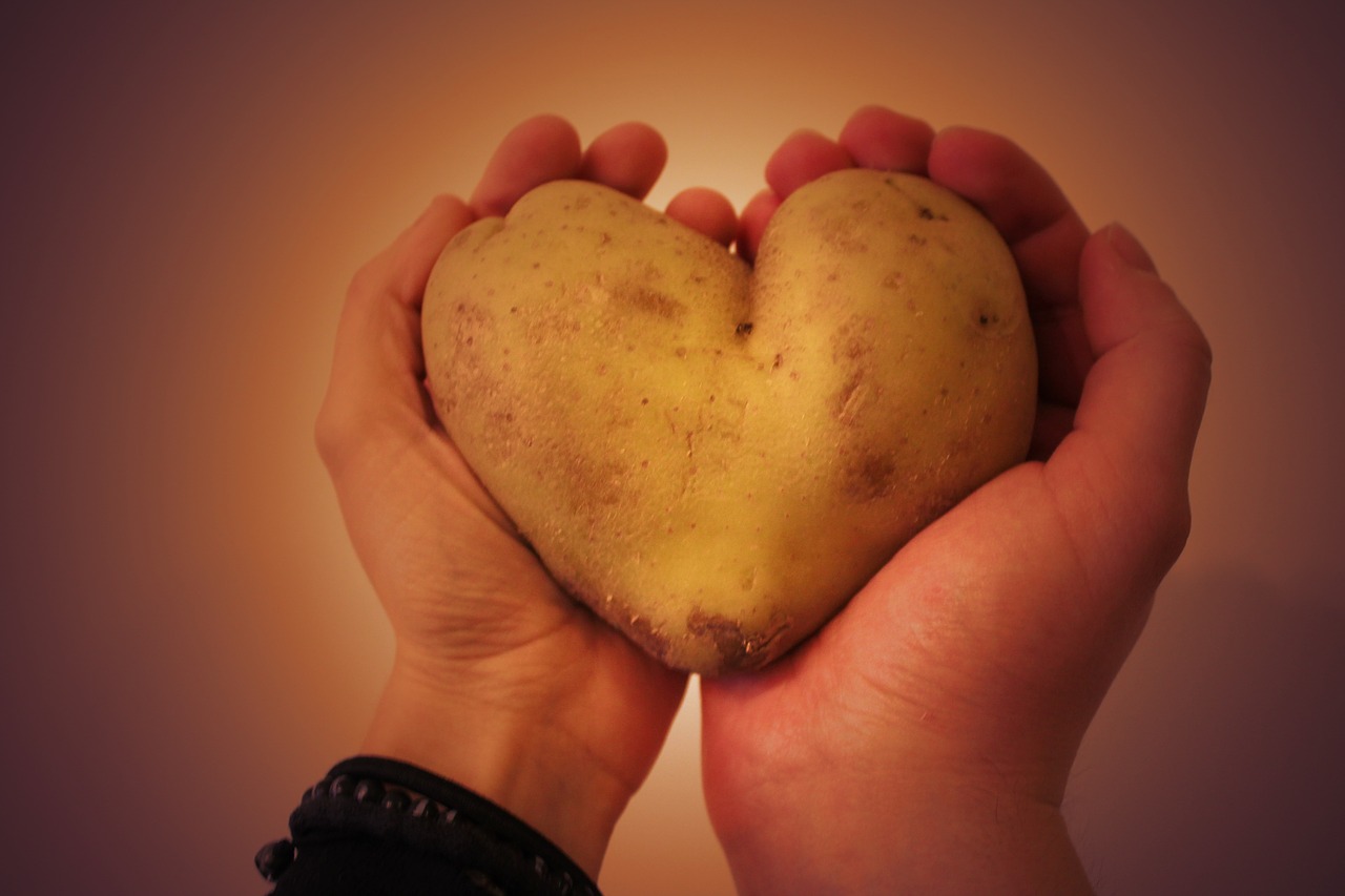 potato heart the two halves of free photo