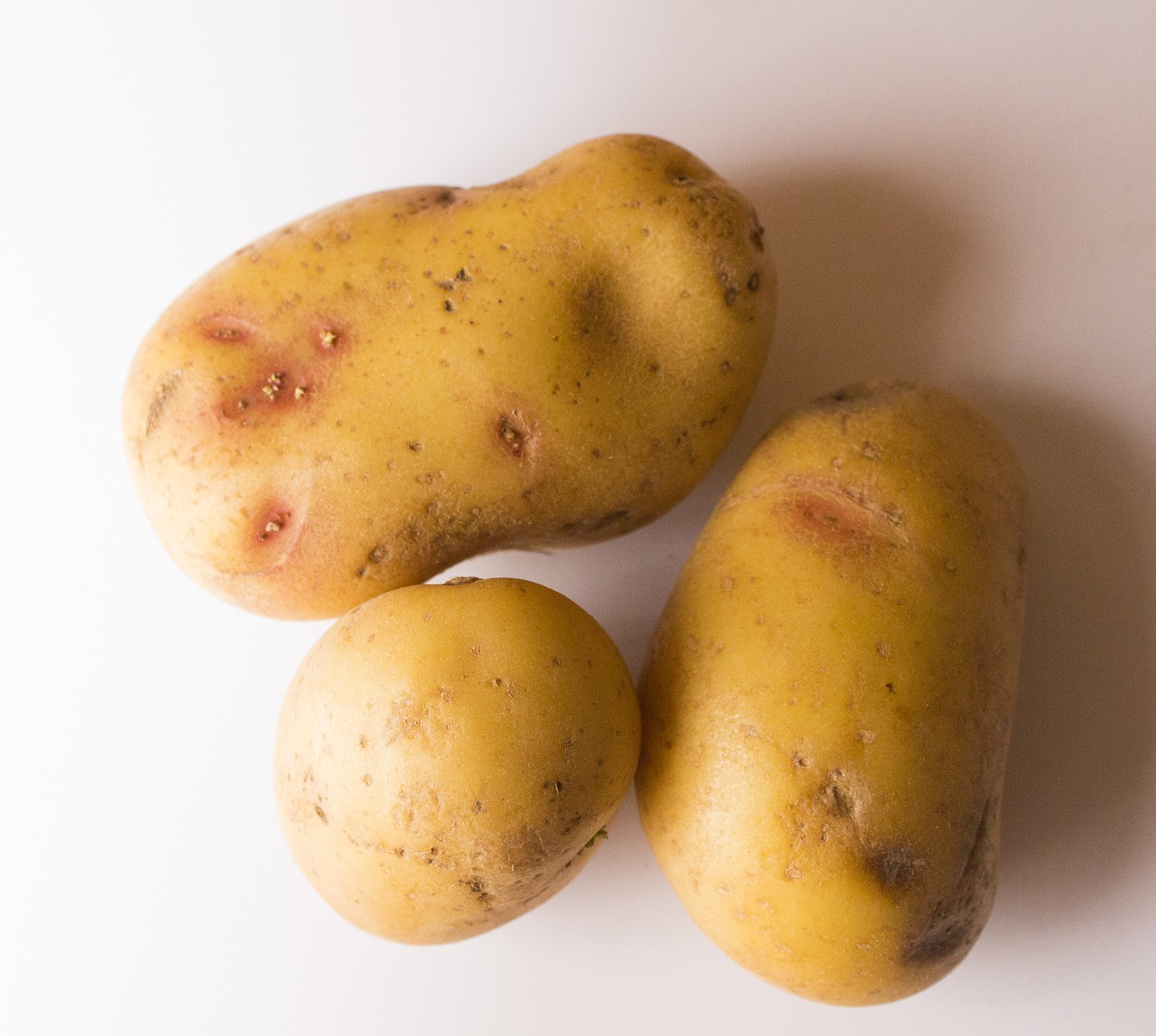 potato potatoes food free photo