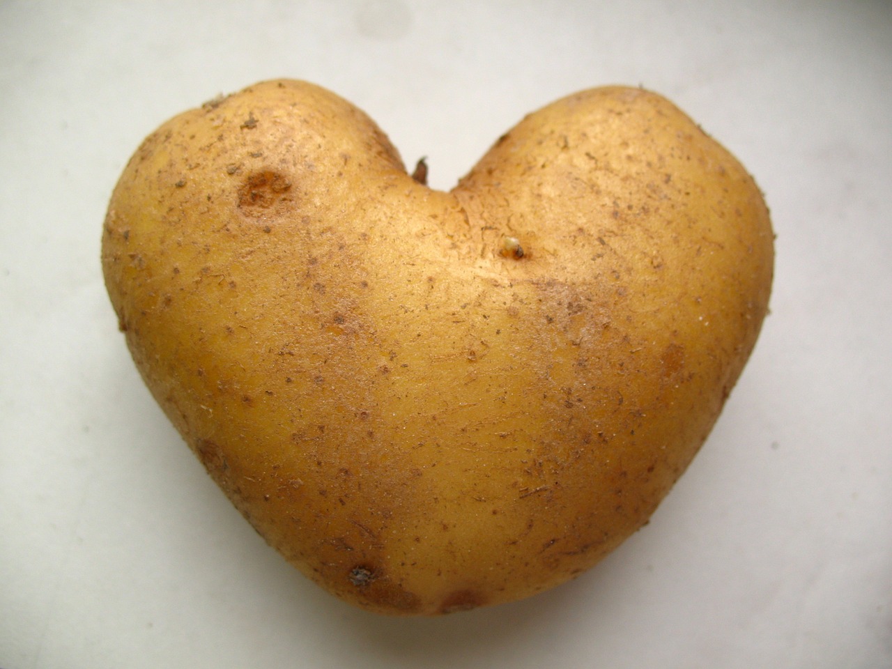 potato vegetable organic free photo