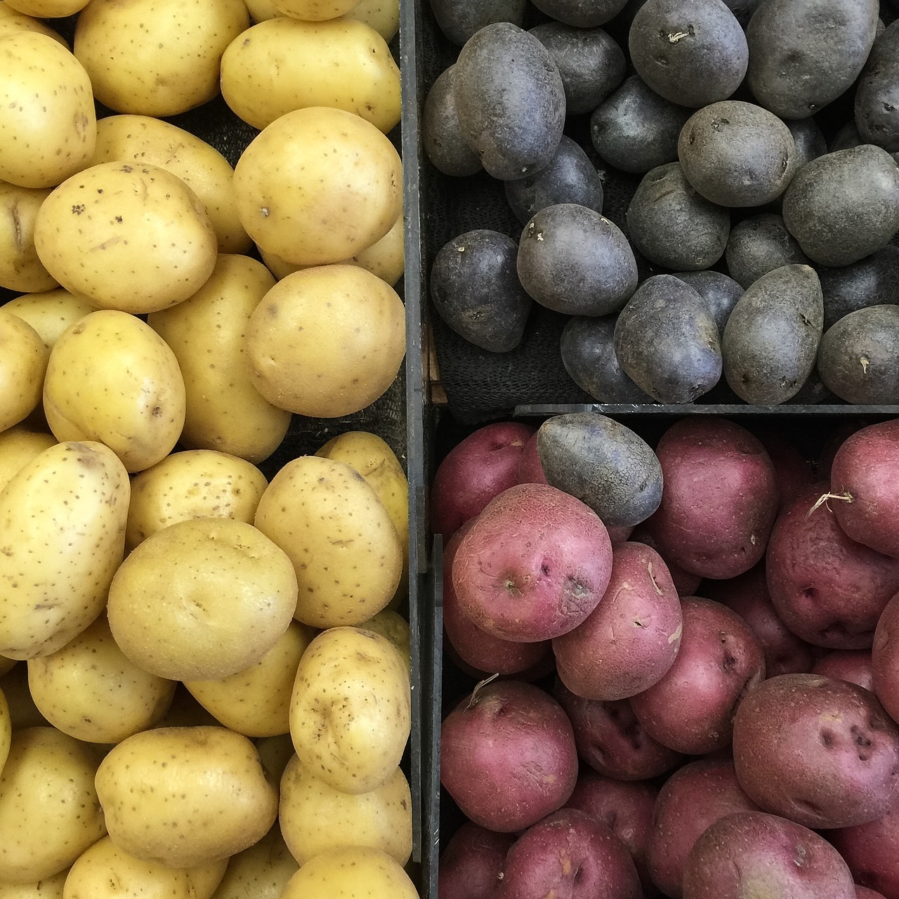 potato vegetables black sheep free photo