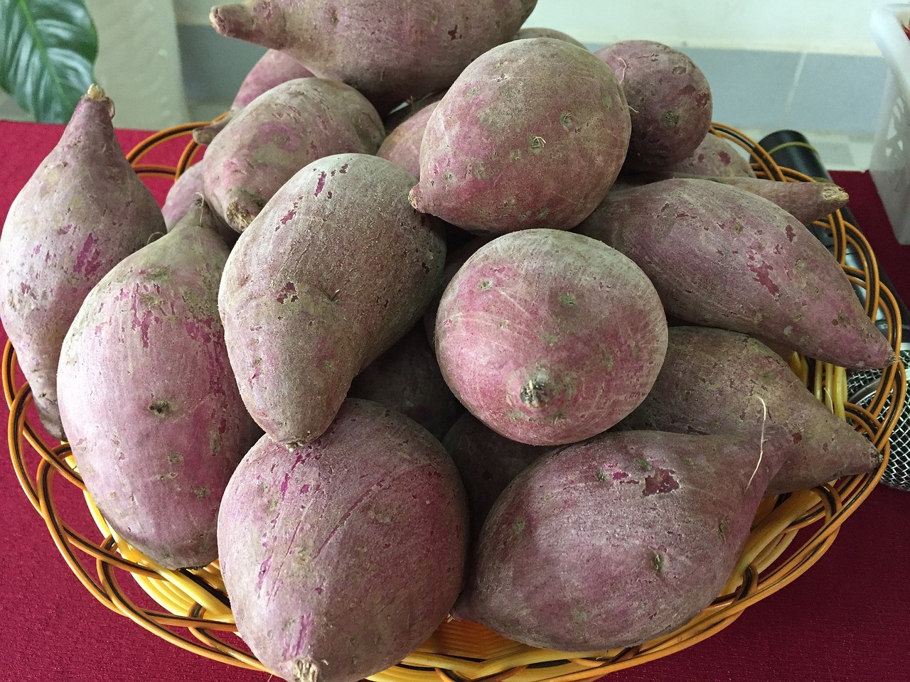 potato lang binh tan free photo