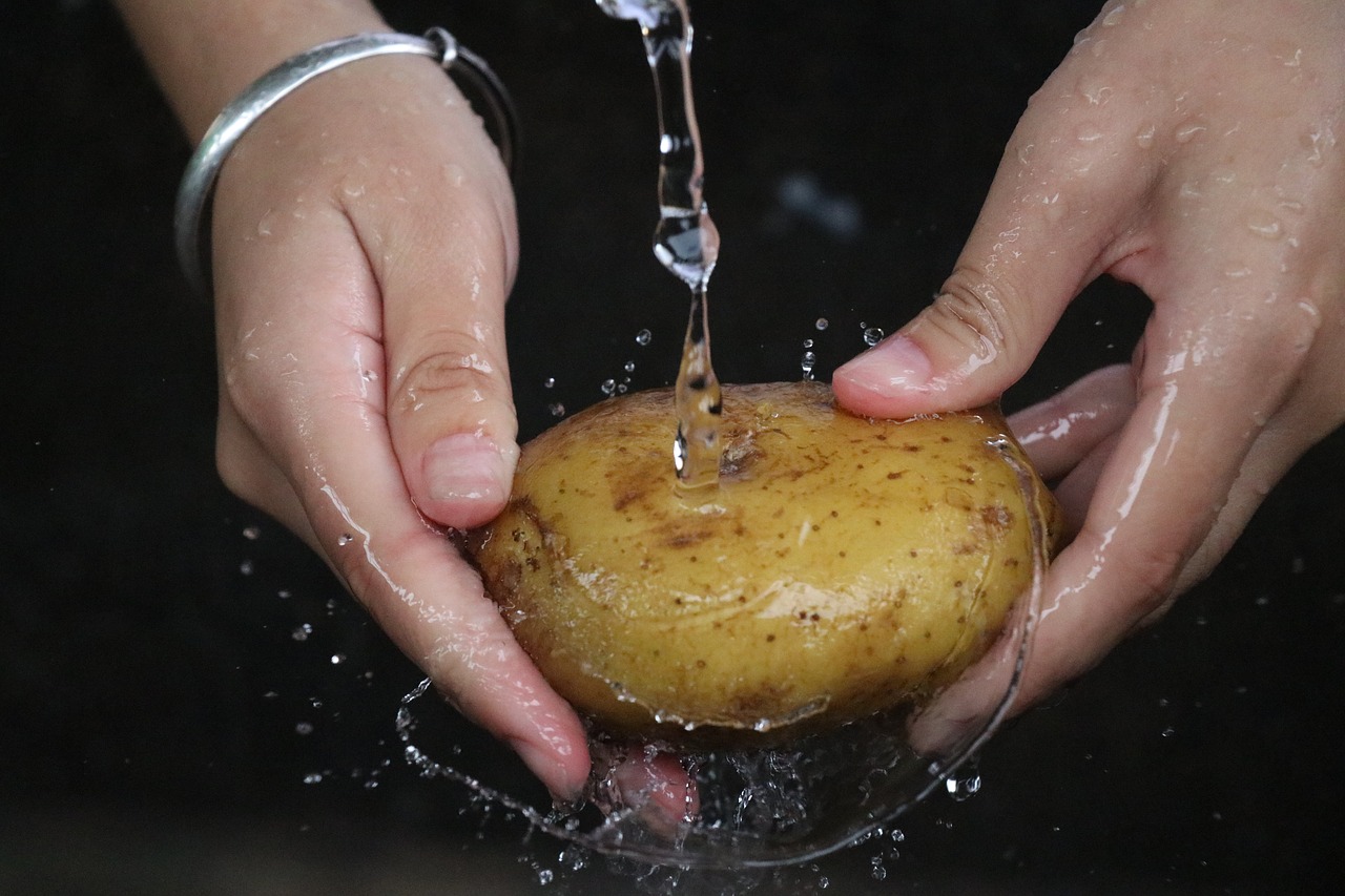 potato wash static free photo
