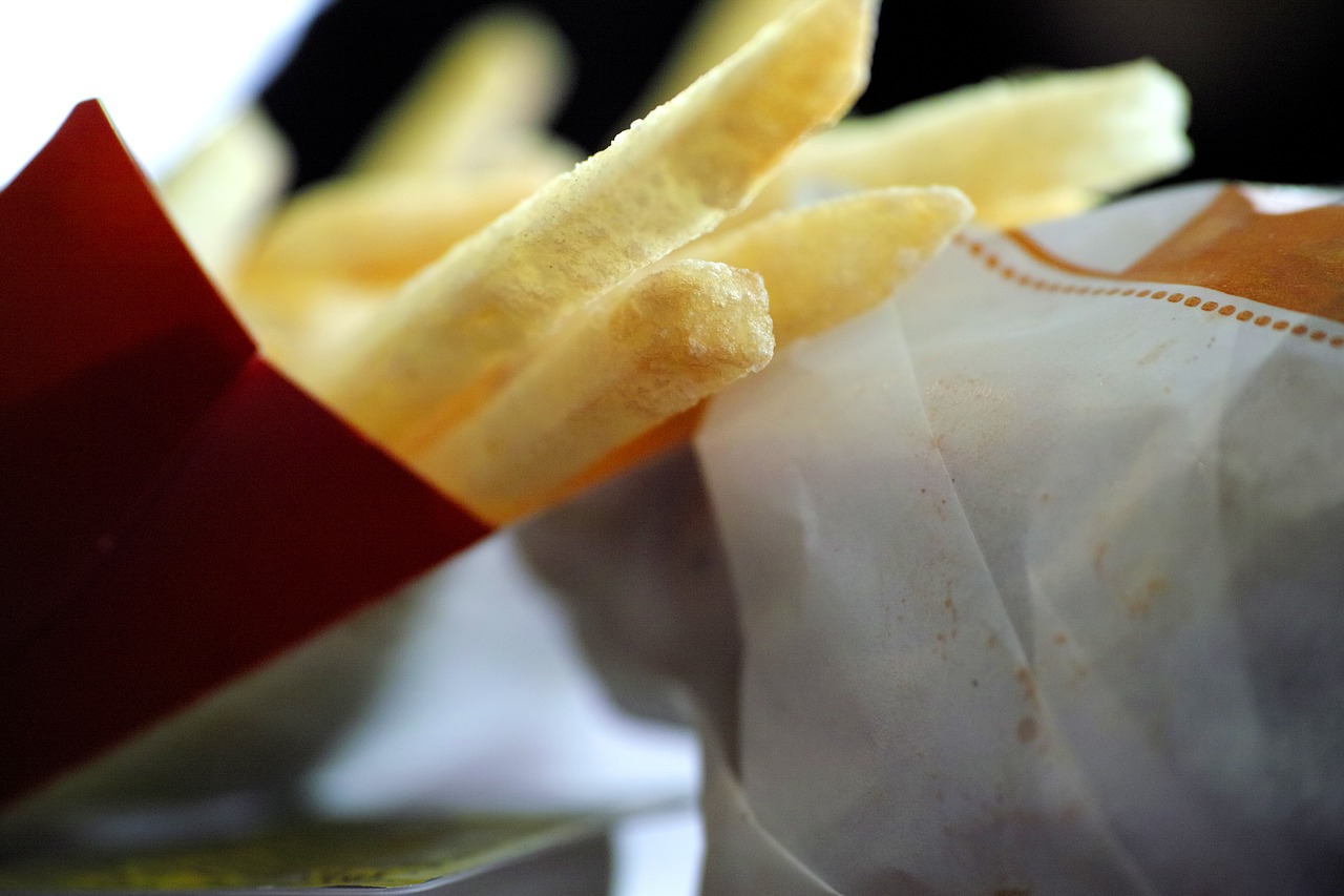 potato food burger free photo