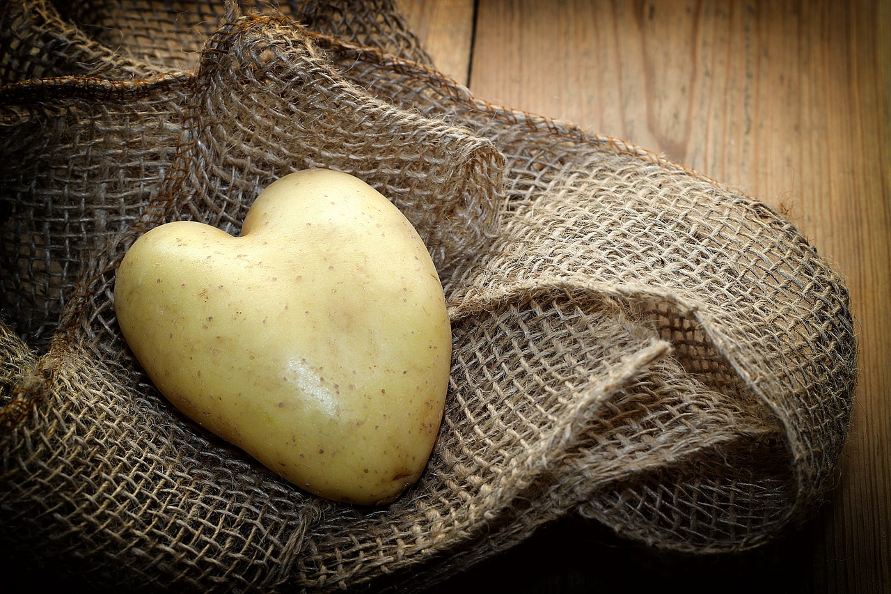 potato  heart  fabric free photo