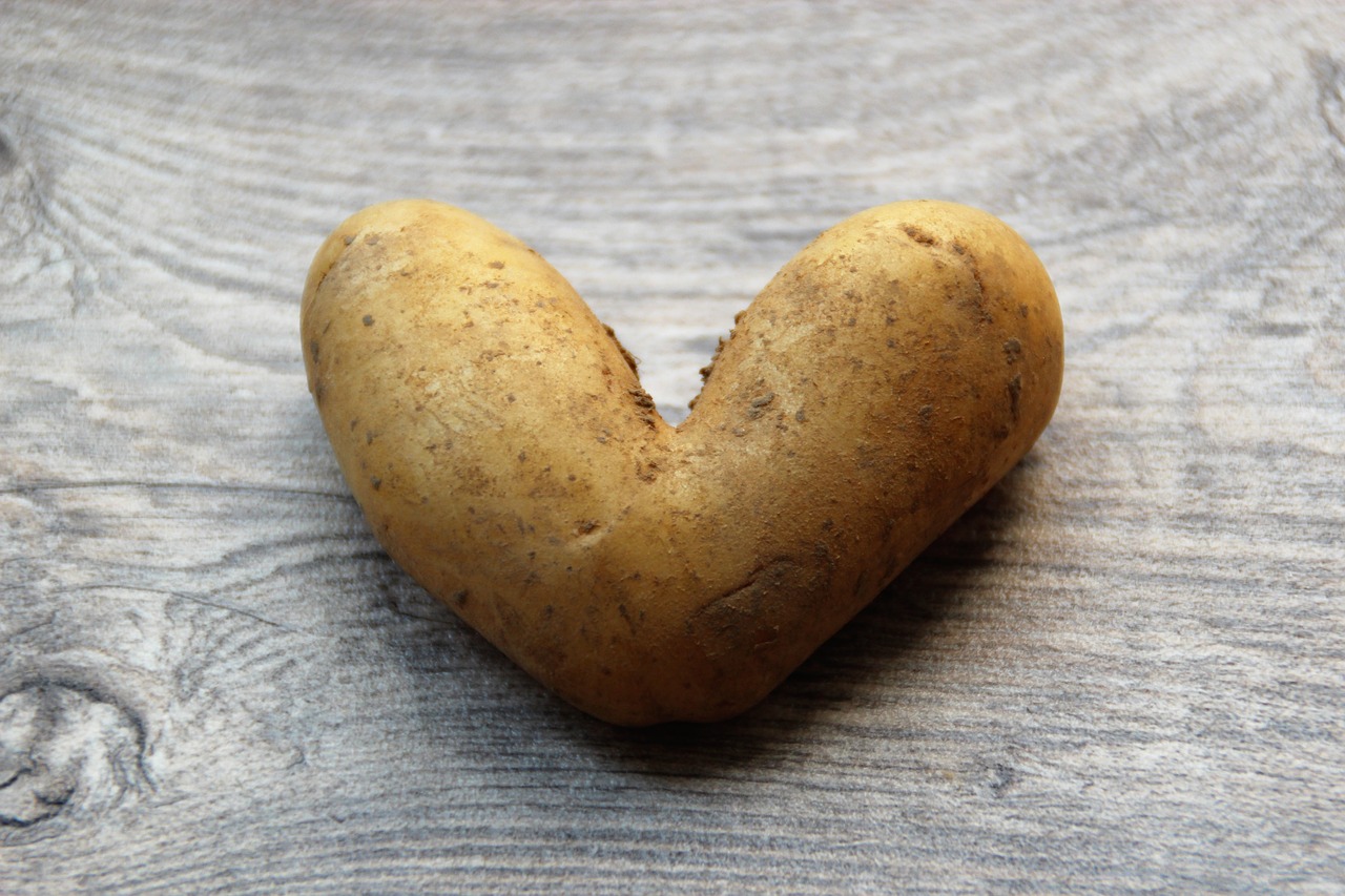 potato  heart  love free photo