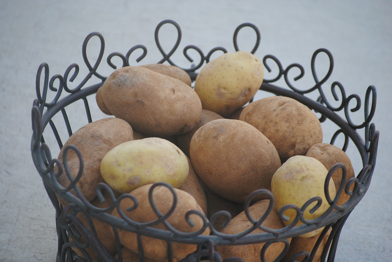 potato basket food free photo