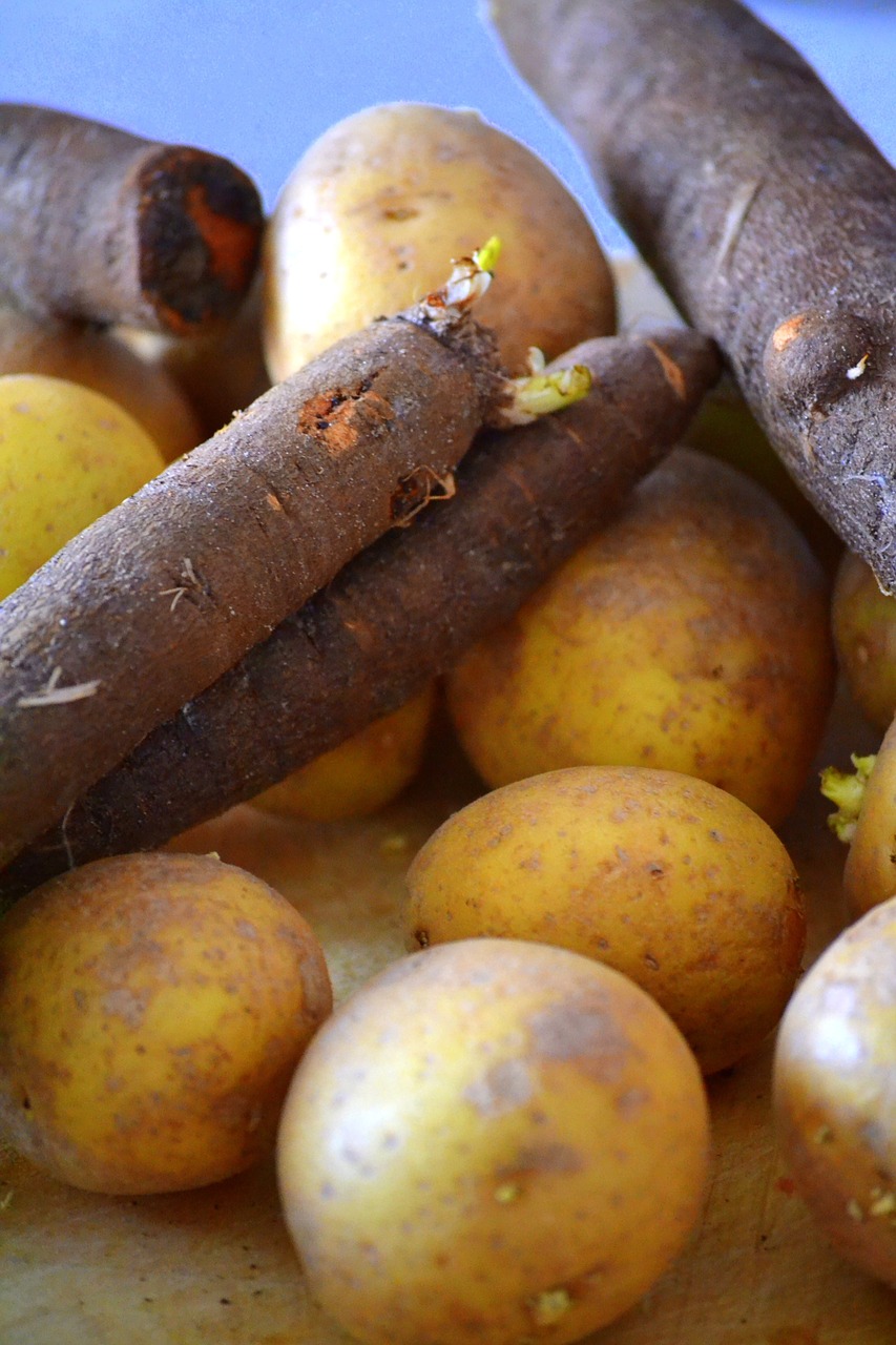 potato salsify vegetables free photo