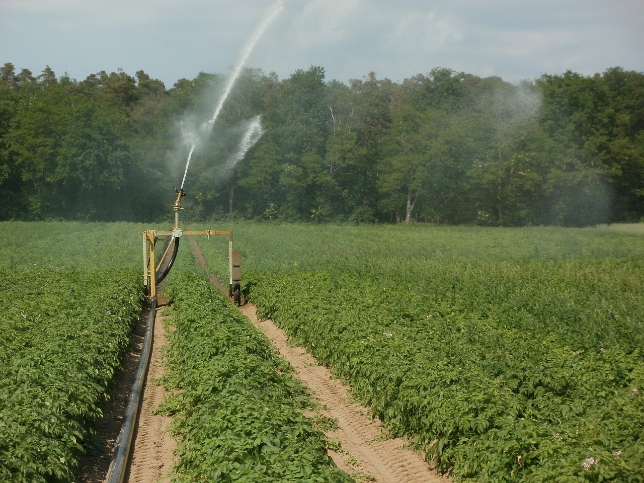 Best no 1 Agricultural Irrigation in the United States