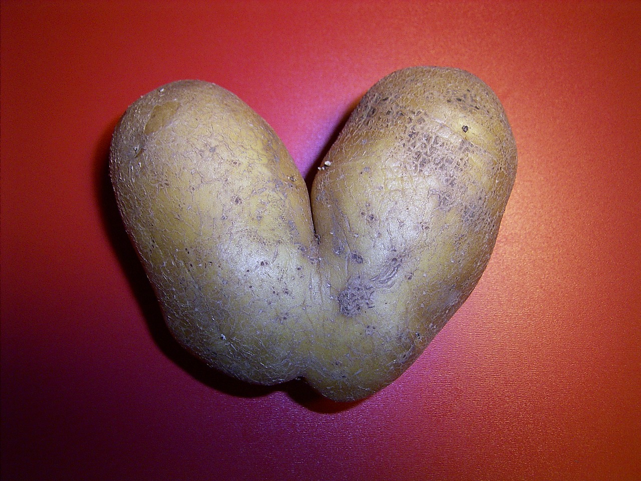 potato shape weird free photo
