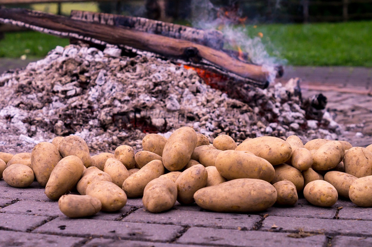 potato fire potato roast embers free photo