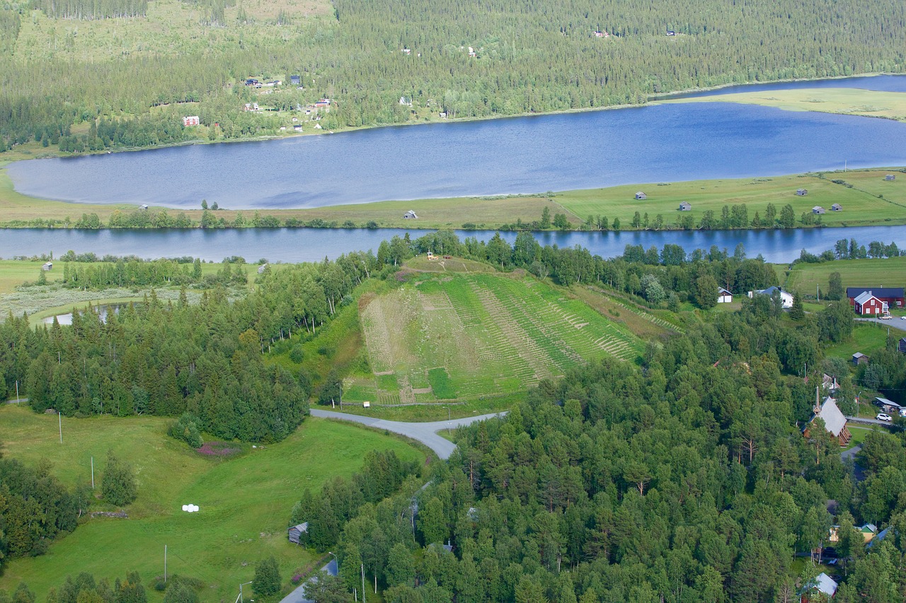 potato hill ammarnäs culture of potato free photo